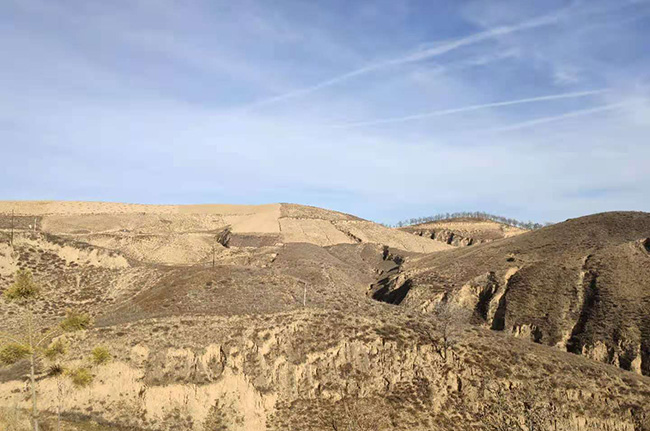 陜西省市場監管局食品安全監督抽檢項目_廣電計量